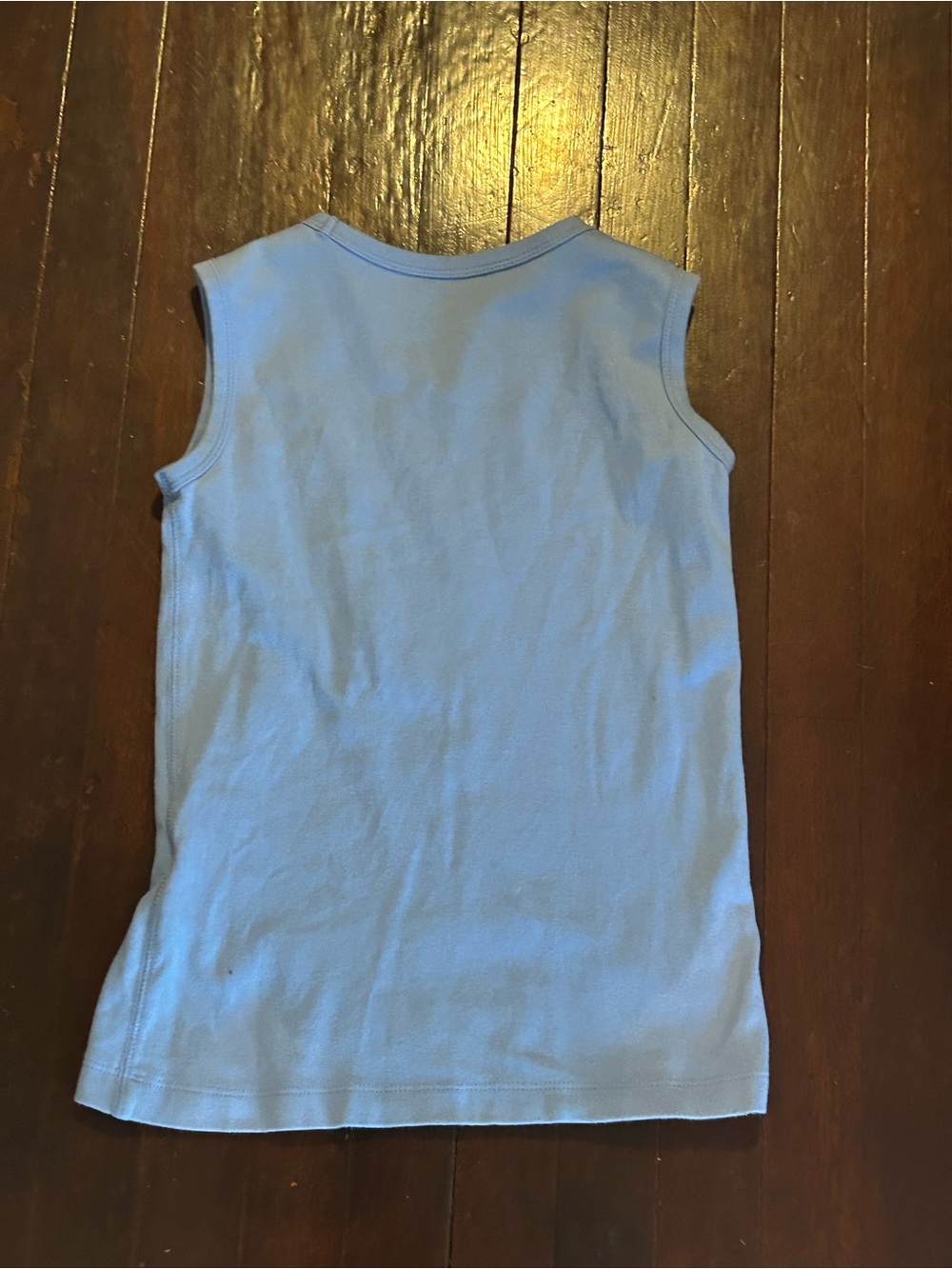 The Black Dog Light Blue Kids Tank Top with Embroidered Dog Logo - Picture 3 of 3